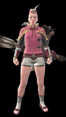 Brigade Armor Set (Female)