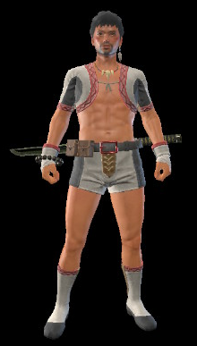 Feather of Mastery Armor Set (Male)