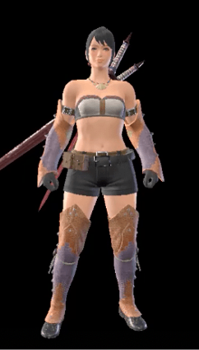 Jaggi X Armor Set (Female)