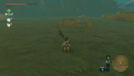 Stone Talus in Disguise