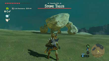 Stone Talus (Rare) - Tabantha Hills