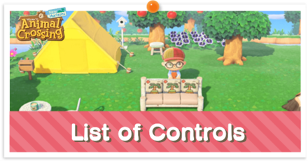 Animal crossing controls clearance nintendo switch