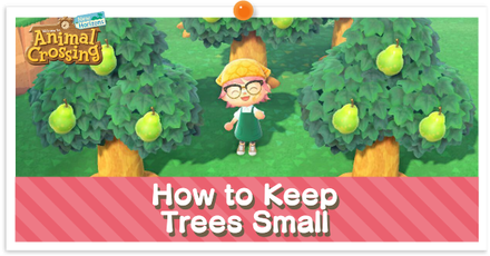 How to Keep Trees Small