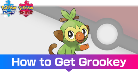 Grookey - Evolutions, Location, and Learnset.png