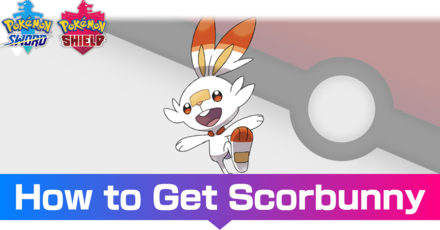 Scorbunny Evolutions Location And Learnset Pokemon Sword And Shield Game8