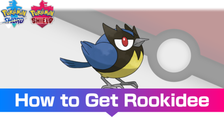 Rookidee - Evolutions, Location, and Learnset