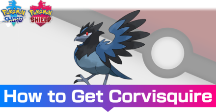 Corvisquire - Evolutions, Location, and Learnset
