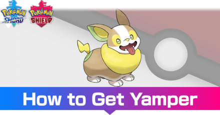 Yamper - Evolutions, Location, and Learnset.png
