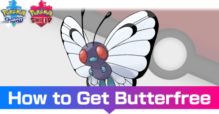 Butterfree - Evolutions, Location, and Learnset.png