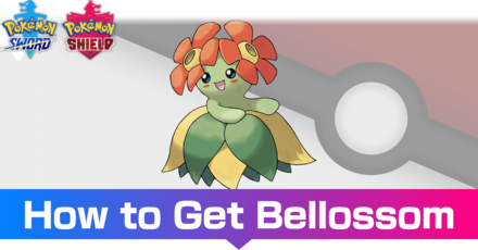 Bellossom, Pokémon Wiki