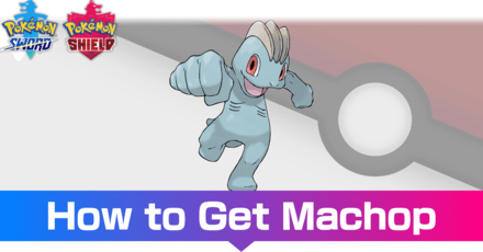 Machop - Evolutions, Location, and Learnset.png