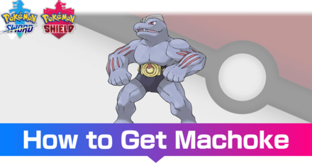 Machoke - Evolutions, Location, and Learnset.png