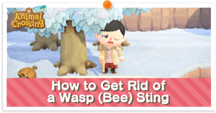 ACNH - How to Get Rid of a Wasp (Bee) Sting Partial Article.png