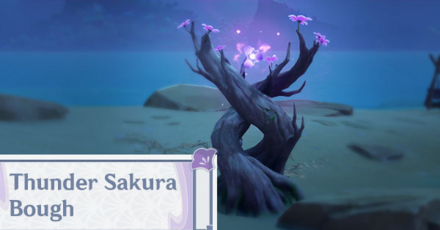 Genshin Impact - Thunder Sakura Bough