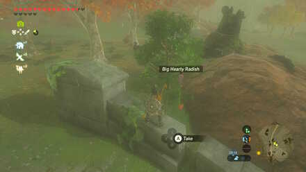 Big Hearty Radish - Akkala Bridge Ruins