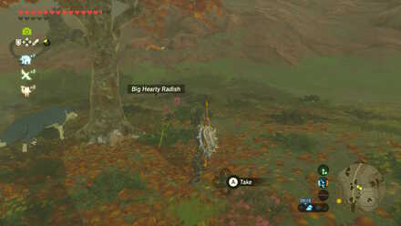 Big Hearty Radish - Akkala Bridge Ruins