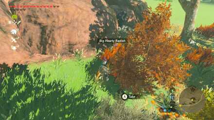 Big Hearty Radish - Kaepora Pass