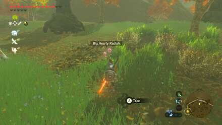 Big Hearty Radish - Torin Wetland