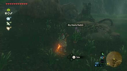 Big Hearty Radish - Shadow Pass