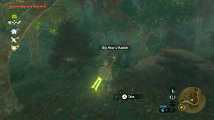 Big Hearty Radish - Shadow Pass