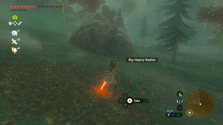 Big Hearty Radish - North Akkala Valley