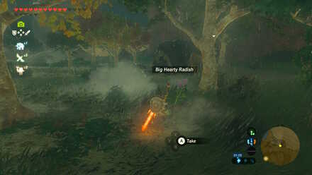 Big Hearty Radish - Tempest Gulch