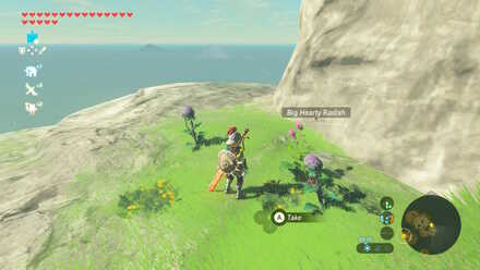 Big Hearty Radish - Ankel Island