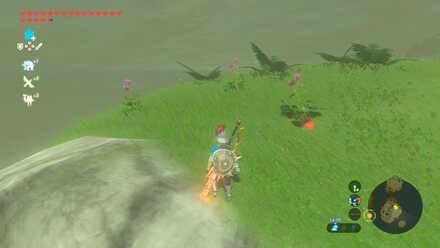 Big Hearty Radish - Davdi Island