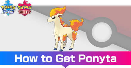 ponyta evolution level