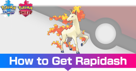 Rapidash - Evolutions, Location, and Learnset (1).png
