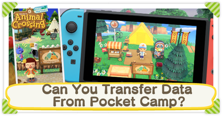 ACNH - Can You Transfer Data From Pocket Camp?