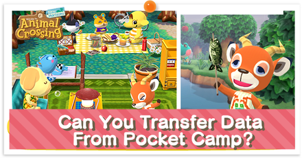 Can You Transfer Data From Pocket Camp - Partial.png