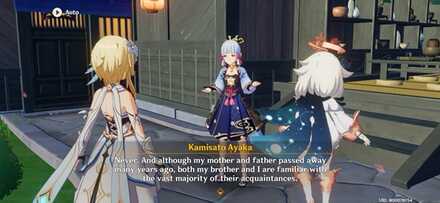 Genshin Impact - A Private Commission