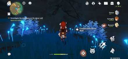 Genshin Impact - Lasting Promise - Conspicuous Stone Wall