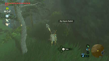 Big Hearty Radish - Shai Yota Shrine 1