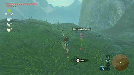 Big Hearty Radish - Shai Yota Shrine 2