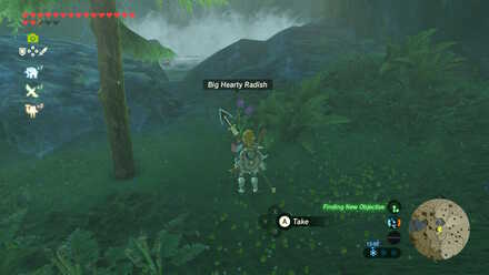 Big Hearty Radish - Ploymus Mountain 1