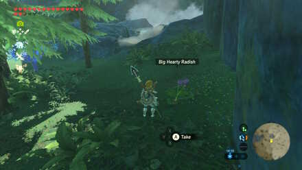 Big Hearty Radish - Ploymus Mountain 2