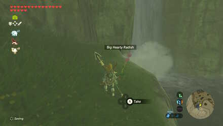 Big Hearty Radish - Ploymus Mountain 3