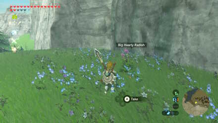 Big Hearty Radish - Ukuku Plains