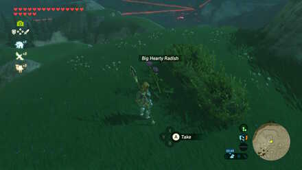 Big Hearty Radish - Upland Zorana