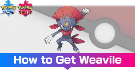 Weavile Evolutions Location And Learnset Pokemon Sword And Shieldgame