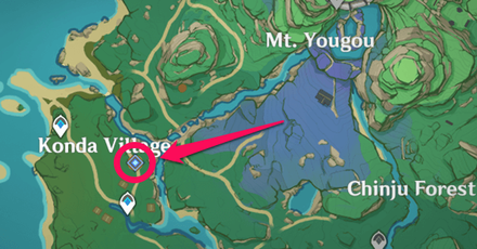 Genshin - Go to the Electro Anomaly