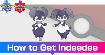 Indeedee - Evolutions, Location, and Learnset.png