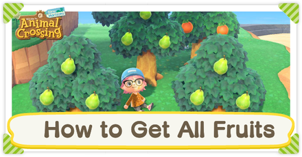 What???????????????????????????????????How to Find All Fruit