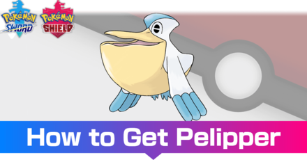 Pelipper - Evolutions, Location, and Learnset.png