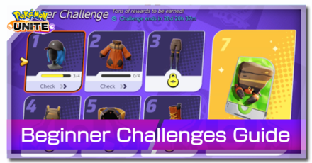 Beginner Challenges Banner