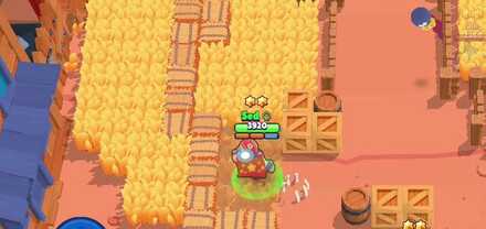 Bushes and Walls - Brawl Stars.jpg