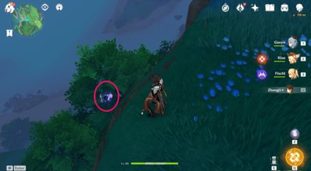 Genshin - Electroculus 61