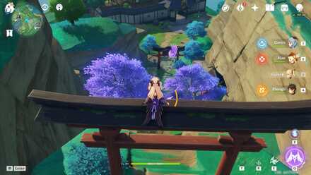 Genshin - Electroculus 15